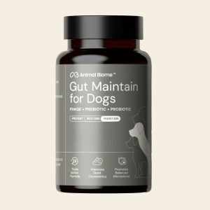 Gut Maintenance Plus Supplement